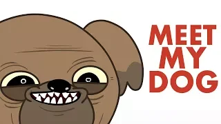 Meet My Dog - Animated