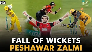 Peshawar Zalmi Fall Of Wickets | Lahore Qalandars vs Peshawar Zalmi | Match 9 | HBL PSL 7 | ML2G