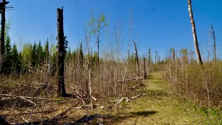 Gunflint & Lake Superior Railroad MP 0-0.2