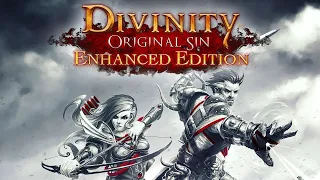 Divinity Original Sin Enhanced Edition Full Game - Longplay Walkthrough No Commentary