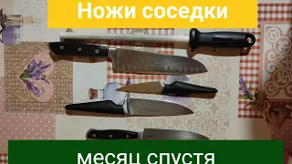 Прошёл месяц с заточки ножей соседки, что с ними стало