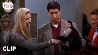 Friends: Ross Has to Say Goodbye to Marcel (Season 1 Clip) | TBS