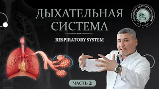 Дыхательная система часть 2 / Respiratory system part 2