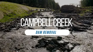 Campbell Creek Dam Removal