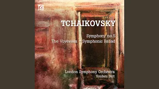 Symphony No. 5 in E Minor, Op. 64: IV. Finale. Andante maestoso - Allegro vivace - Molto...