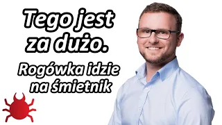 Pluskwy w łóżku. Jak wygląda pluskwa? Czy wyrzucić rogówkę/wersalkę?