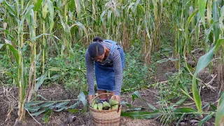 Philippines Countryside | The Making of Famous Filipino Snack 'Binaki' or 'Pintos'