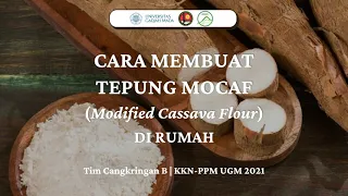 Cara Membuat Tepung MOCAF di Rumah