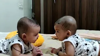Twin babies talk and hold hands for the first time | @ruchistwindolls8923 | #twinsvideo