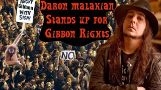 Daron Malakian finally takes a stance on gibbon equality