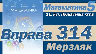 Мерзляк Вправа 314. Математика 5 клас