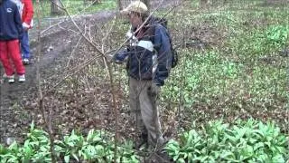 Peter Blush Wild Leek Foraging Workshop at Slow Food Canadian Youth Terra Madre