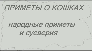 ПРИМЕТЫ О КОШКАХ. НАРОДНЫЕ ПРИМЕТЫ И СУЕВЕРИЯ