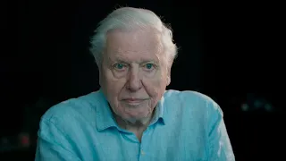 Sir David Attenborough: The Future Of Our Frozen World | Frozen Planet II | BBC Earth