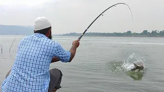 🐟Amazing Fishing video||Black Rohu Fishing||Flood Water in Krishna River||🎣Black Rohu fish catching