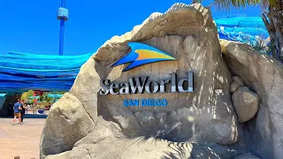 🔴 LIVE Friday Afternoon At Seaworld San Diego! Dining With Orcas, Shows, Animal Exhibits & More