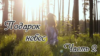 Подарок небес. Часть 2. Новый христианский рассказ. Очень интересный !!!