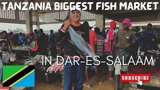 Tour of Tanzania biggest fish market