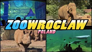 ZOO WROCŁAW - Afrykarium Zoo Wrocław - Poland [4k]