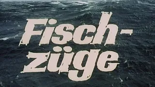 Fischzüge Teil 1