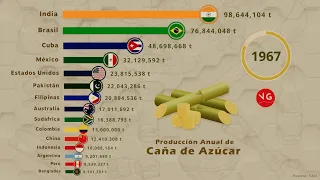 Los Países que Más Producen Caña de Azúcar en el Mundo