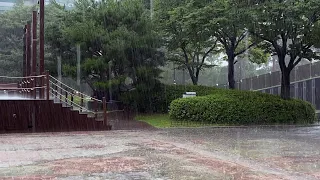 (4K) Walking in Super Heavy Rain | Thunder | Sounds for Sleeping & Relaxation | S. Korea | 폭우 거센빗소리