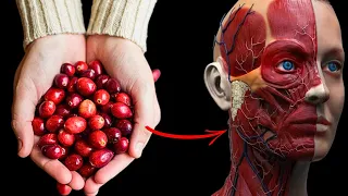 What Happens To Your Body When You Eat Cranberries Every Day