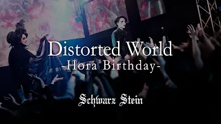 Schwarz Stein - Distorted World -Hora's Birthday-