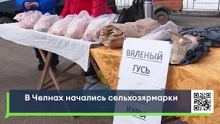 В Челнах начались сельскохозяйственные ярмарки