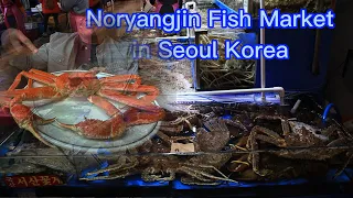 Noryangjin is the largest seafood market with a variety of shrimp, crabs, fish, shellfish and etc