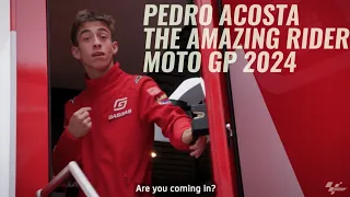 PEDRO ACOSTA THE AMAZING RIDER MOTO GP 2024