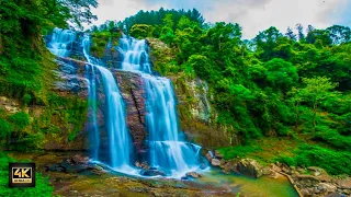 Experience the Tranquility at Sri Lanka's Majestic Waterfall