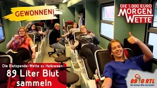 89 Liter Blut für die 1.000 Euro Morgenwette