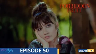 Forbidden Fruit Episode 50 | FULL EPISODE | TAGALOG DUB | Turkish Drama