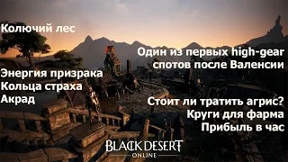 BDO Гайд Колючий лес. Круги для фарма, кольцо страха, энергия призрака, Акрад, комплект Ра Орзеркии