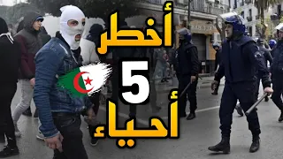 أكبر 5 أحياء موجودة في الجزائر | ربي يستر منهم