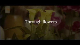 THROUGH FLOWERS