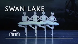 Dance of the little swans from Swan Lake - Dutch National Ballet