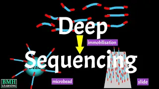 Deep Sequencing | Massively Parallel Sequencing | Illumina Deep Sequencing |