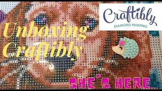 Unboxing Craftibly     She's Here!!!!