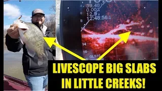 How to LIVESCOPE Big Crappie in Little Creeks!