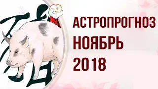 АСТРОПРОГНОЗ НА НОЯБРЬ 2018 ГОДА : Прогноз на Месяц Водяной Свиньи 2018 года!