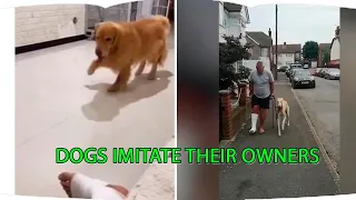 Dogs imitate their owners 🐕, Funniest Dogs will make you laugh all day long