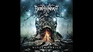 Borknagar - Winter Thrice (Full Album)