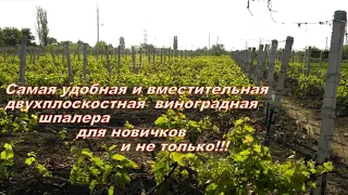 Какая нужна винограду опора?!Нигде в мире так не делают, как мы! Two-plane super support for grapes!