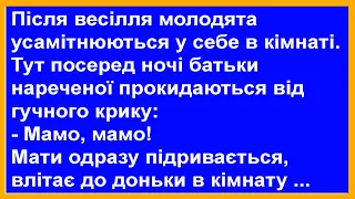 Під час першої шлюбної ночі батьки прокидаються від криків доньки... Анекдоти від Петровича.