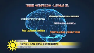 Forskning – Fysisk aktivitet kan häva depression - Nyhetsmorgon (TV4)
