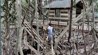 MEMBUAT SHELTER BAMBU 2 HARI DI ATAS AKAR LIANA - SHELTER BAMBU CANTIK DAN MENGHANGATKAN