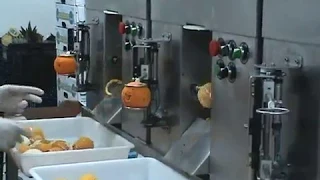 Промышленная машина для очистки апельсинов, киви, яблок и других фруктов