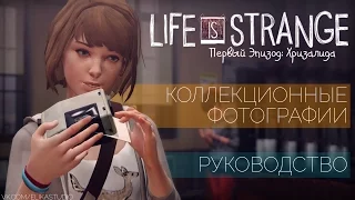 Коллекционные фотографии | Life is Strange ep. 1: Хризалида [Руководство]